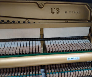 sửa đàn piano cơ kẹt phím
